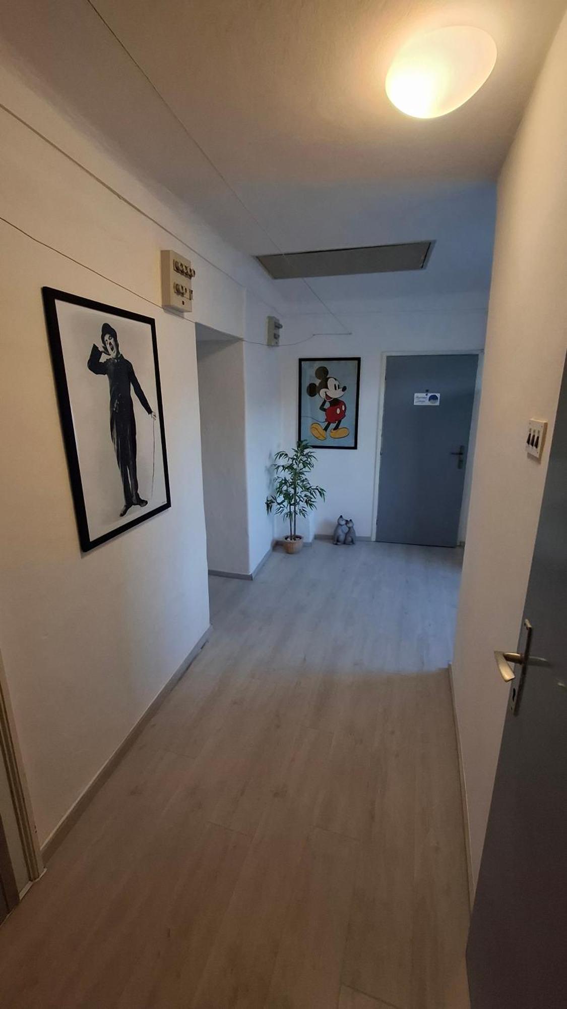 Apartman Darija Pazin Exterior foto
